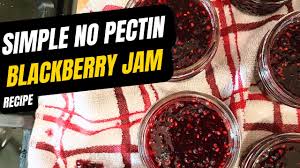 homemade blackberry jam recipe no