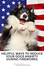 calm your dog during fireworks
