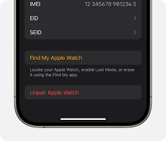 activation lock on your apple watch