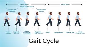 an introduction to gait ysis