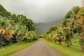 Its hot, dry climate is suitable for plumeria and bougainvillea cultivars in the outer crater, kiawe (prosopis pallida). Everything To Know Before Visiting The Ho Omaluhia Botanical Garden In Oahu Hawaii Le Travel Style
