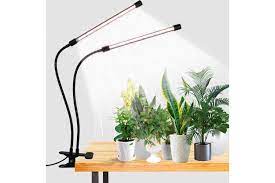 the 12 best grow lights of 2024 tested