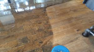 america carpet and tile cleaning