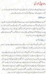 Essay On Environmental Pollution In Urdu   EDU ESSAY
