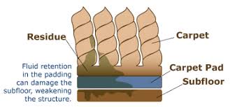 wet carpet cleaning methods