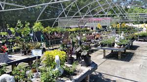 Garden Centers Of Hampton Roads