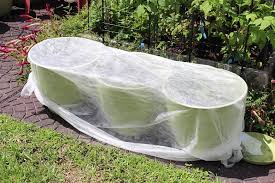 Using Shade Cloths In The Garden For