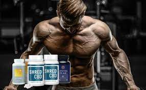 best new bodybuilding supplements 2020