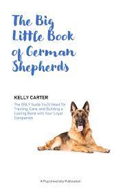 Amazon.com: Kelly E. Carter: books, biography, latest update