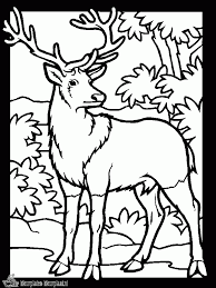 Hier is een online kleurplaat van een hertje, samen met een konijntje en een roodborstje. Kleurplaten Hert Kleurplaten Kleurplaat Nl