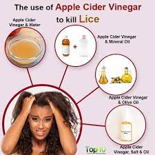 the use of apple cider vinegar to kill