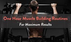 one hour muscle building routines for