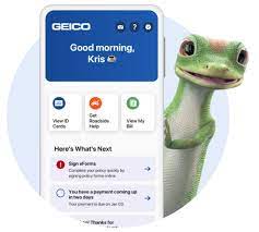 GEICO gambar png