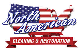 carpet cleaning mold reation