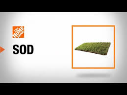 Types Of Sod For Your Lawn The Home Depot