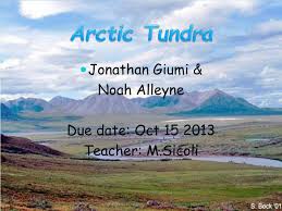 arctic tundra powerpoint presentation