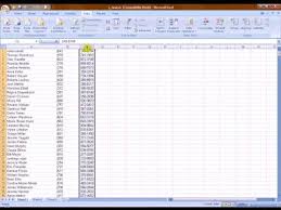 Mlm Training How To Manage And Sort Downloaded Leads Using Microsoft Excel Part 1