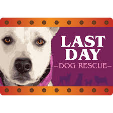 Последние твиты от pet rescue review (@petrescuereview). Last Day Dog Rescue