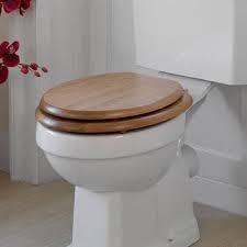 Wood Vs Plastic Toilet Seat Wooden