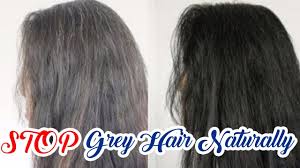 Health issues that may be indicated by prematurely gray hair. How To Reverse Premature Graying Of Hair Naturally Stop Grey Hair Naturally 3 Magical Hair Tips Youtube
