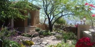 Texas Landscaping Ideas Landscaping