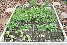 square foot garden check up make and