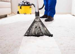 professional carpet cleaning auckland
