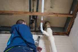mold remediation cost