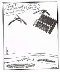 A series of gary larsen's far side gags are turned into short animated gags, such as a frankenstein cow; 22 Cartoons Desert Ideas Far Side Cartoons The Far Side Far Side Comics