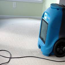 carpet cleaning in lawrence ks