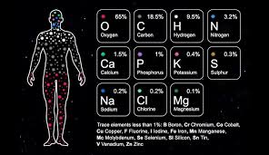 are we made of stardust natural