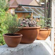 Buy Terracotta Plant Bowls