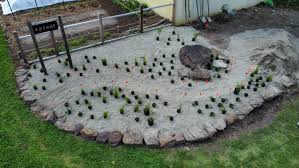 true grit planting a gravel garden