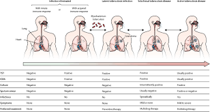 Tuberculosis (tb) is a potentially serious infectious disease that mainly affects the lungs. Tuberculosis The Lancet