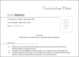 Curriculum Vitae   Cv Template Nz Cover Letter Styles Personal   florais de bach info