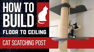 cat scratching tower