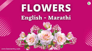 flower names in marathi and english