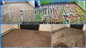 carpet cleaning in fargo nd