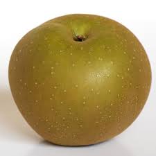Golden Russet Apple Tree - Stark Bro's