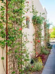 Trellis also provides some appealing outdoor spaces like gates, tunnels, private screens, and also attractive fences and walls. Wall Trellises Perfect For Flowering Vines Better Homes Gardens