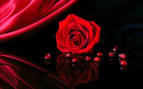 Red Rose Aesthetic Wallpapers on ...