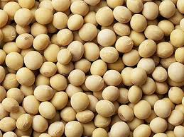 nirav dried soybeans beans