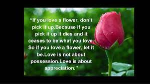 Osho is known for his revolutionary contribution to the science of inner transformation, with an approach to meditation that acknowledges the accelerated pace of contemporary life. Osho Quotes Love Is Like A Flower Hover Me