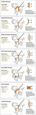 Learned Regulated Best Dog Training Tricks Visit This Site
