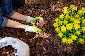 how to mulch your garden 6 best types