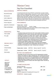 Sap Fico Consultant Resume Technology Functionality It Example