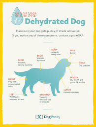 Do You Know The Signs Of Dehydration Use This Chart To Keep