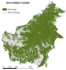 30 Of Borneos Rainforests Destroyed Since 1973