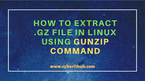 extract gz file in linux
