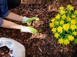 information on using mulch in place of soil